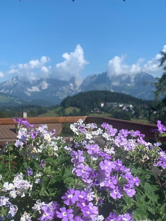 Pension Hinterseer Kitzbühel Kültér fotó
