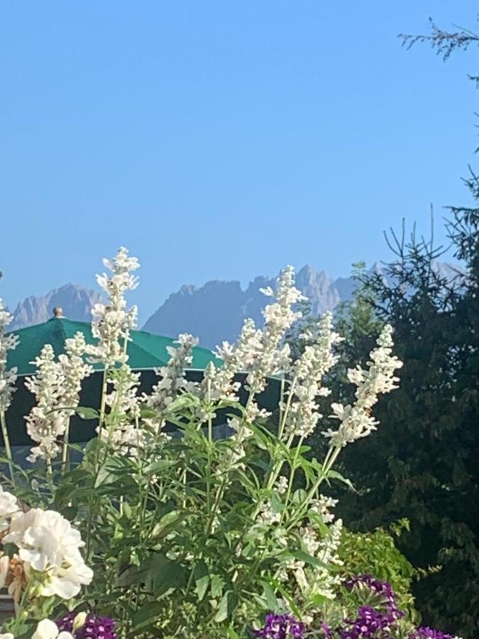 Pension Hinterseer Kitzbühel Kültér fotó